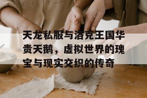天龙私服与洛克王国华贵天鹅，虚拟世界的瑰宝与现实交织的传奇