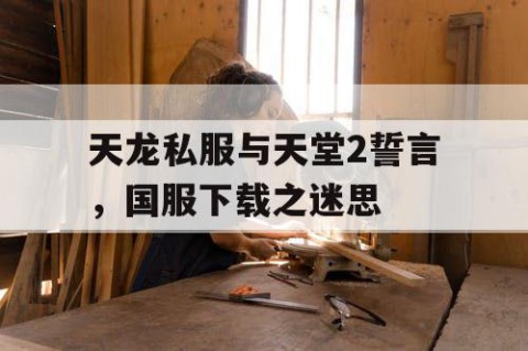 天龙私服与天堂2誓言，国服下载之迷思