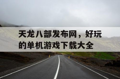 天龙八部发布网，好玩的单机游戏下载大全