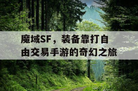 魔域SF，装备靠打自由交易手游的奇幻之旅