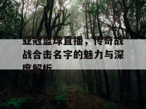亚冠篮球直播,传奇战战合击名字的魅力与深度解析