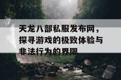 天龙八部私服发布网，探寻游戏的极致体验与非法行为的界限