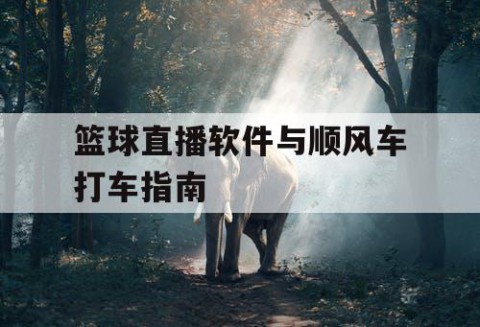 篮球直播软件与顺风车打车指南
