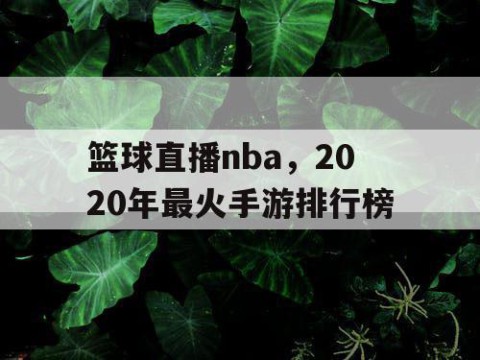 篮球直播nba,2020年最火手游排行榜