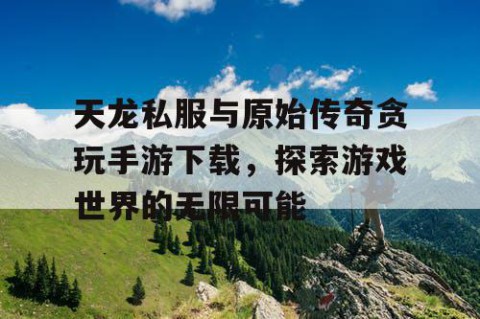天龙私服与原始传奇贪玩手游下载，探索游戏世界的无限可能