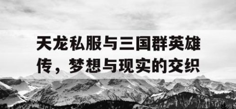 天龙私服与三国群英雄传，梦想与现实的交织