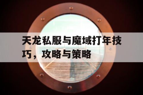天龙私服与魔域打年技巧，攻略与策略