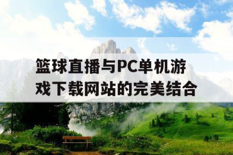 篮球直播与PC单机游戏下载网站的完美结合