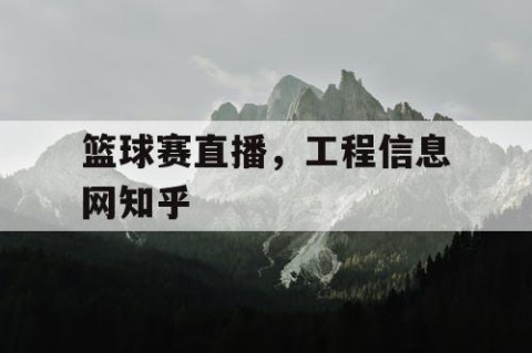 篮球赛直播,工程信息网知乎