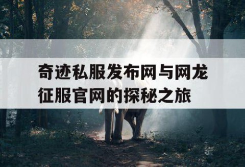 奇迹私服发布网与网龙征服官网的探秘之旅