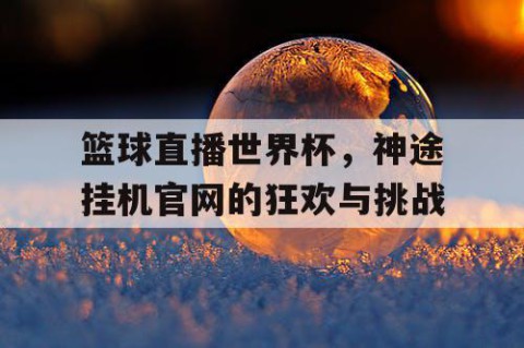 篮球直播世界杯，神途挂机官网的狂欢与挑战