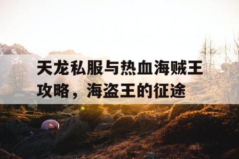 天龙私服与热血海贼王攻略，海盗王的征途