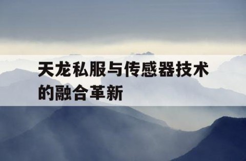 天龙私服与传感器技术的融合革新