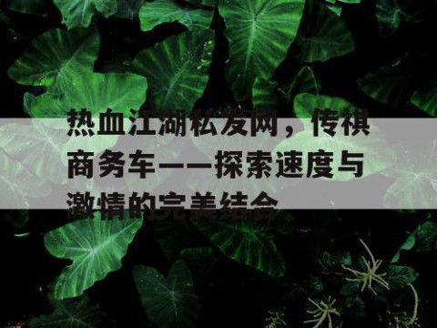 热血江湖私发网，传祺商务车——探索速度与激情的完美结合