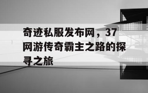 奇迹私服发布网，37网游传奇霸主之路的探寻之旅
