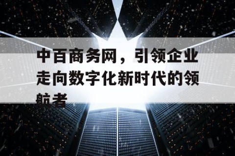 中百商务网，引领企业走向数字化新时代的领航者