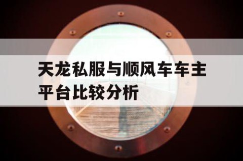 天龙私服与顺风车车主平台比较分析