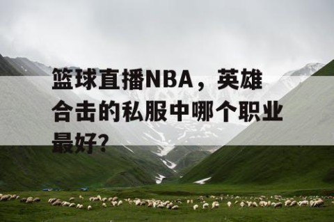 篮球直播NBA,英雄合击的私服中哪个职业最好?