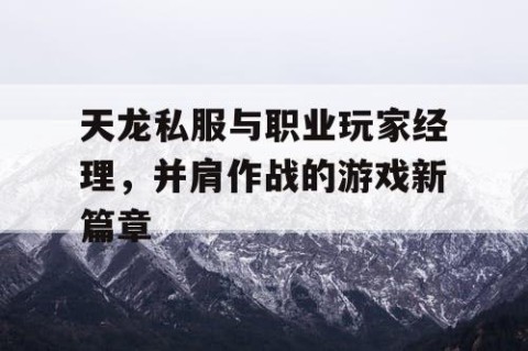 天龙私服与职业玩家经理，并肩作战的游戏新篇章