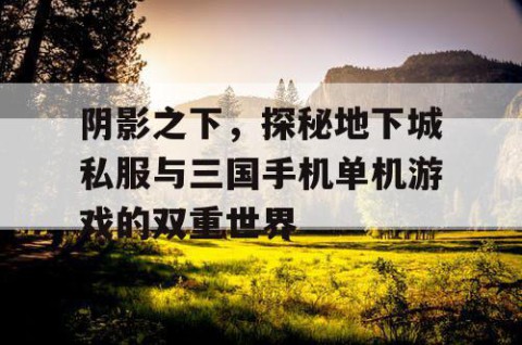 阴影之下，探秘地下城私服与三国手机单机游戏的双重世界