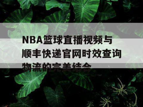 NBA篮球直播视频与顺丰快递官网时效查询物流的完美结合