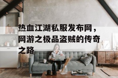 热血江湖私服发布网，网游之极品盗贼的传奇之路