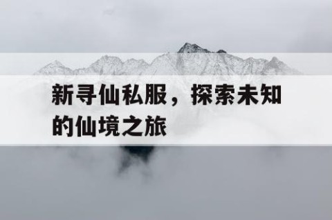 新寻仙私服，探索未知的仙境之旅