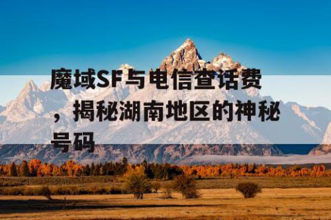 魔域SF与电信查话费，揭秘湖南地区的神秘号码