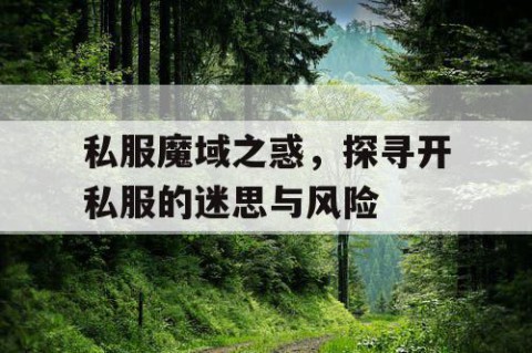 私服魔域之惑，探寻开私服的迷思与风险