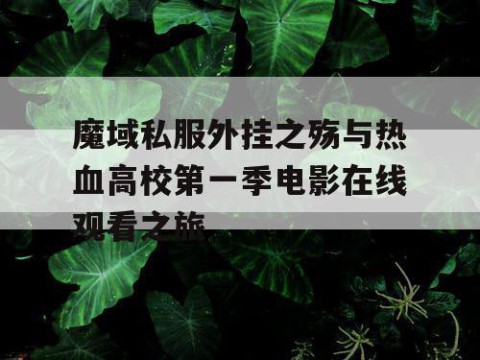 魔域私服外挂之殇与热血高校第一季电影在线观看之旅