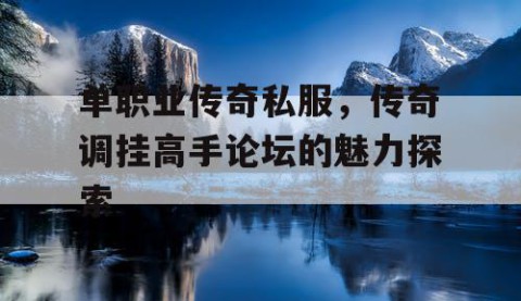单职业传奇私服，传奇调挂高手论坛的魅力探索