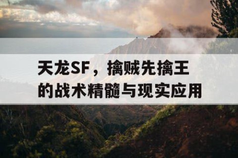 天龙SF，擒贼先擒王的战术精髓与现实应用