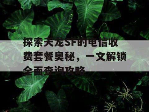 探索天龙SF的电信收费套餐奥秘，一文解锁全面查询攻略