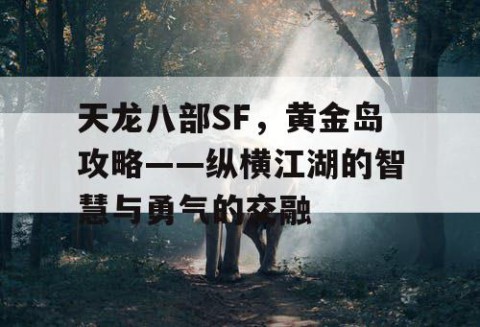 天龙八部SF，黄金岛攻略——纵横江湖的智慧与勇气的交融