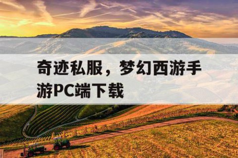 奇迹私服，梦幻西游手游PC端下载