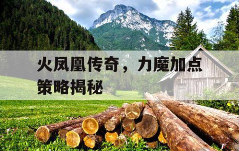火凤凰传奇，力魔加点策略揭秘