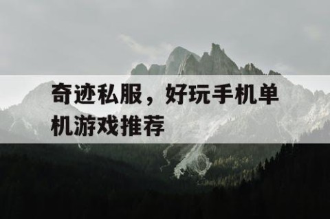 奇迹私服，好玩手机单机游戏推荐