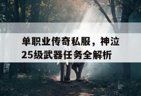 单职业传奇私服，神泣25级武器任务全解析