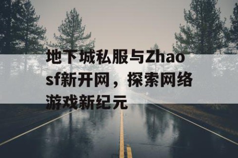 地下城私服与Zhaosf新开网，探索网络游戏新纪元