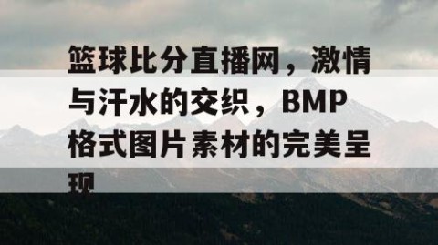 篮球比分直播网,激情与汗水的交织,BMP格式图片素材的完美呈现