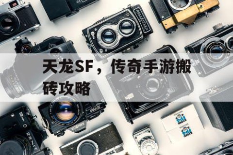 天龙SF，传奇手游搬砖攻略