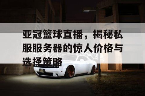 亚冠篮球直播,揭秘私服服务器的惊人价格与选择策略