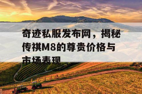 奇迹私服发布网，揭秘传祺M8的尊贵价格与市场表现