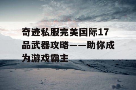 奇迹私服完美国际17品武器攻略——助你成为游戏霸主