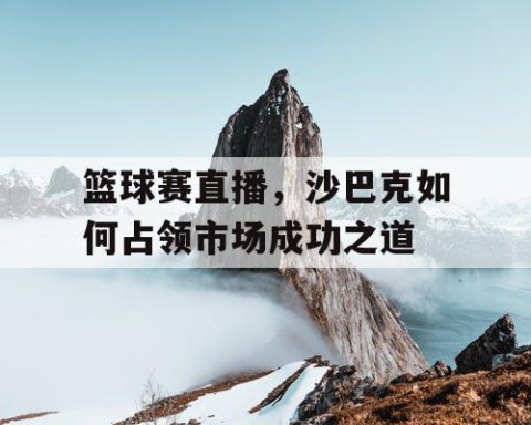 篮球赛直播，沙巴克如何占领市场成功之道