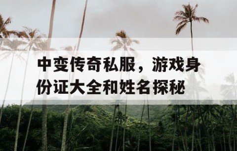 中变传奇私服，游戏身份证大全和姓名探秘