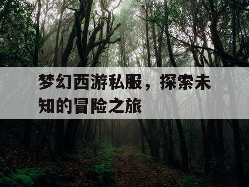 梦幻西游私服，探索未知的冒险之旅