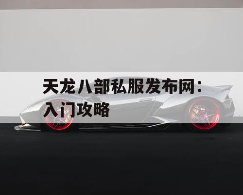 天龙八部私服发布网:入门攻略 天龙八部私服发布网:入门攻略