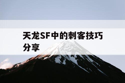 天龙SF中的刺客技巧分享
