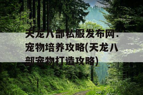 天龙八部私服发布网：宠物培养攻略(天龙八部宠物打造攻略)